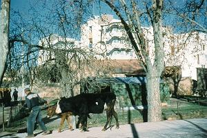 LA PROMENADE
